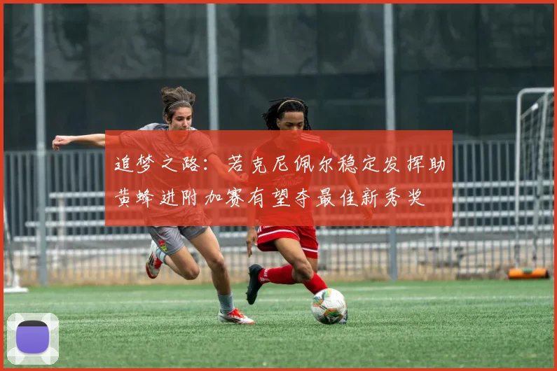 追梦之路：若克尼佩尔稳定发挥助黄蜂进附加赛有望夺最佳新秀奖