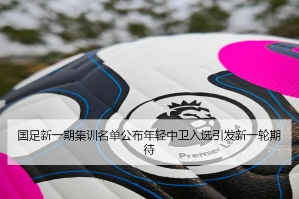 国足新一期集训名单公布年轻中卫入选引发新一轮期待